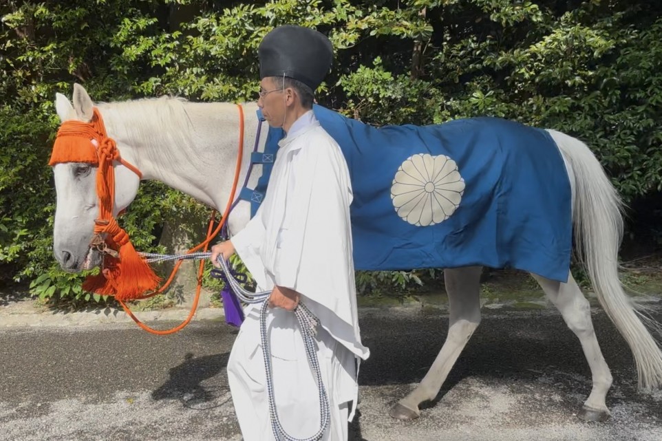 神馬が伊勢神宮を参拝する「神馬牽参（しんめけんざん）」 | お知らせ